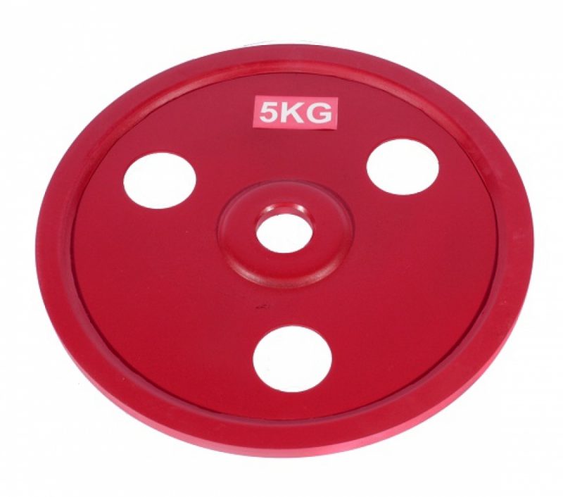 Tekniikkalevy 5kg