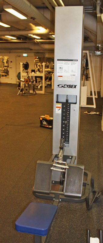 Cybex Alatalja