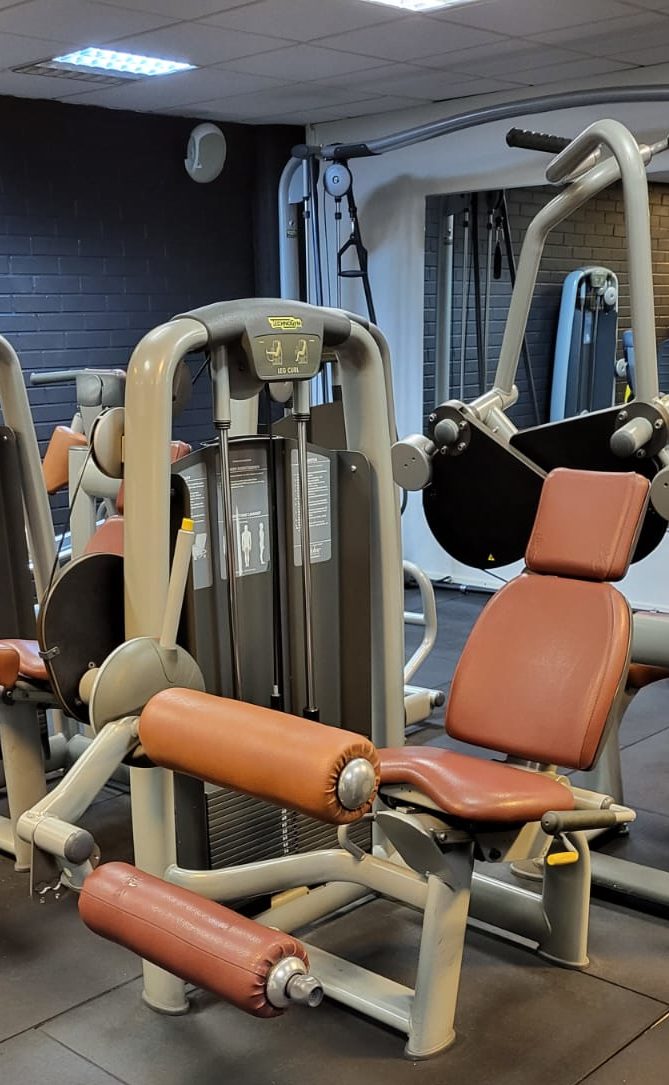 Reidenkoukistus Technogym 95kg pakka