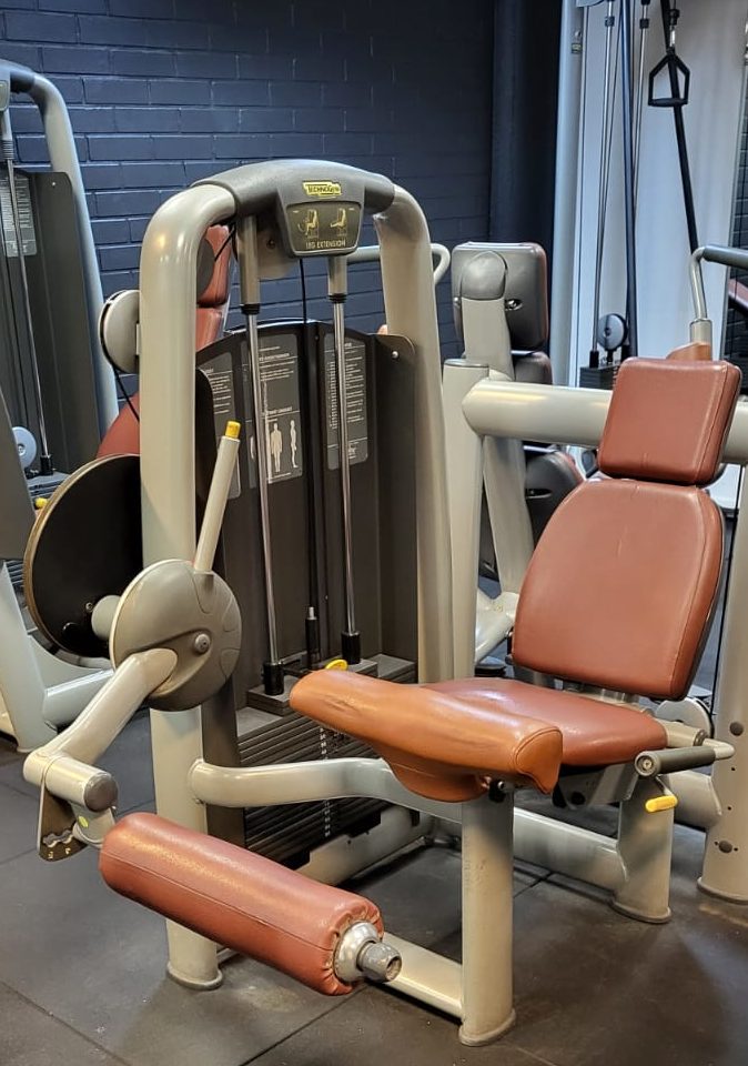 Reidenojennus Technogym 95kg pakka